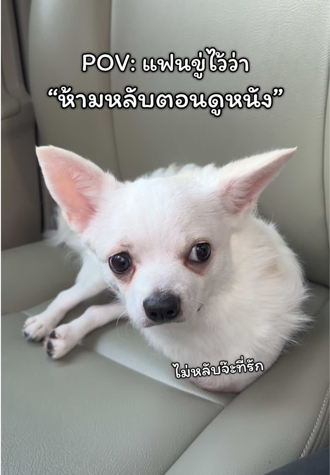 @ผมชื่อเฟิร์บ