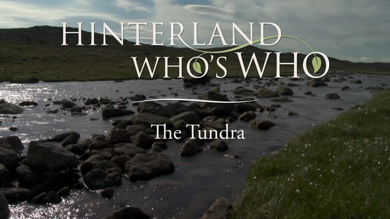@Hinterland Who&rsquo;s Who