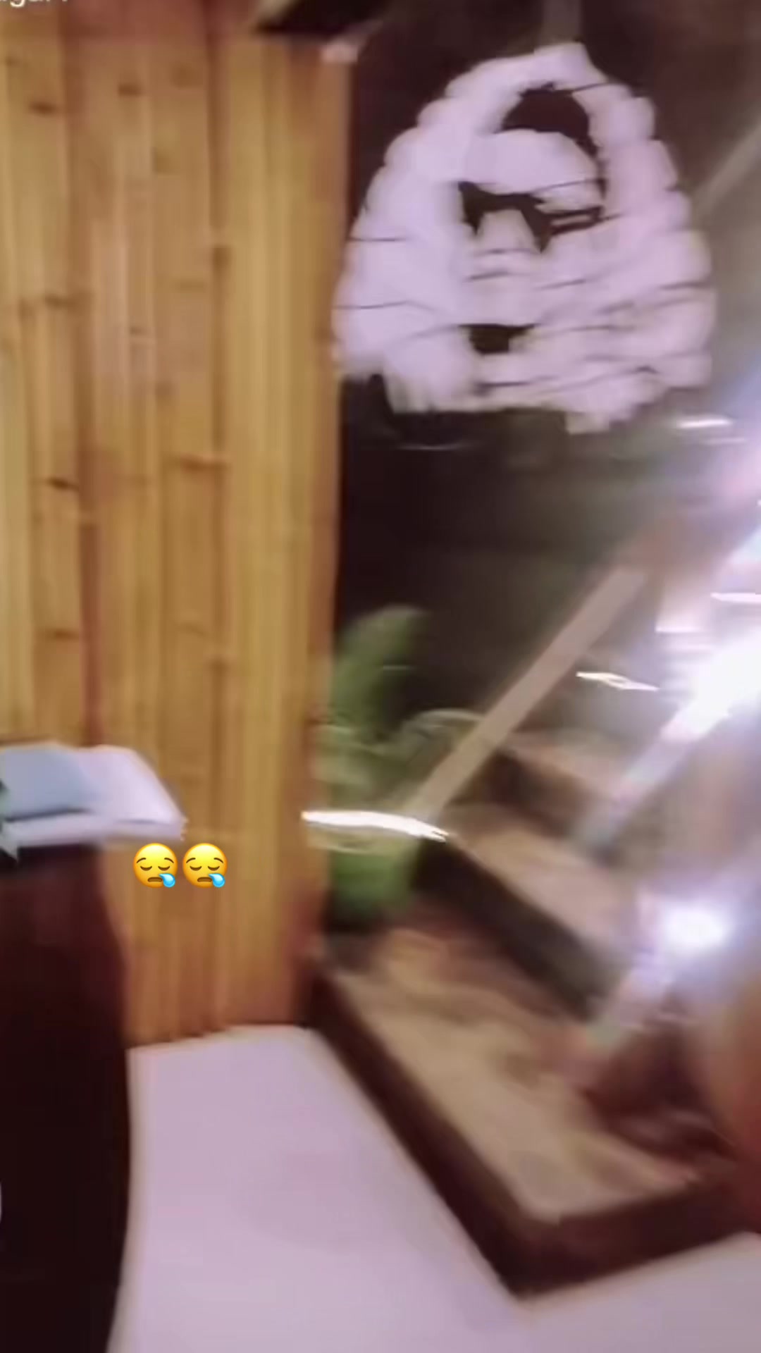 @𝗕 𝗔 𝗕 𝗨
