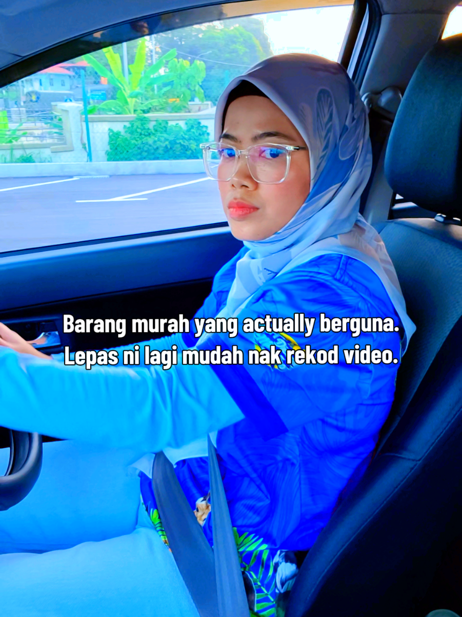 @Walin Fat Cat