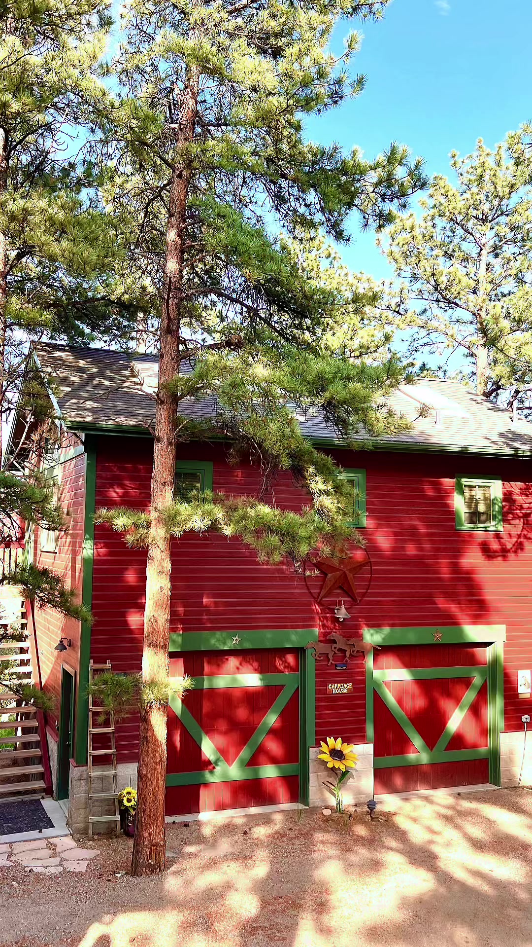 @Estes&ensp;Pines