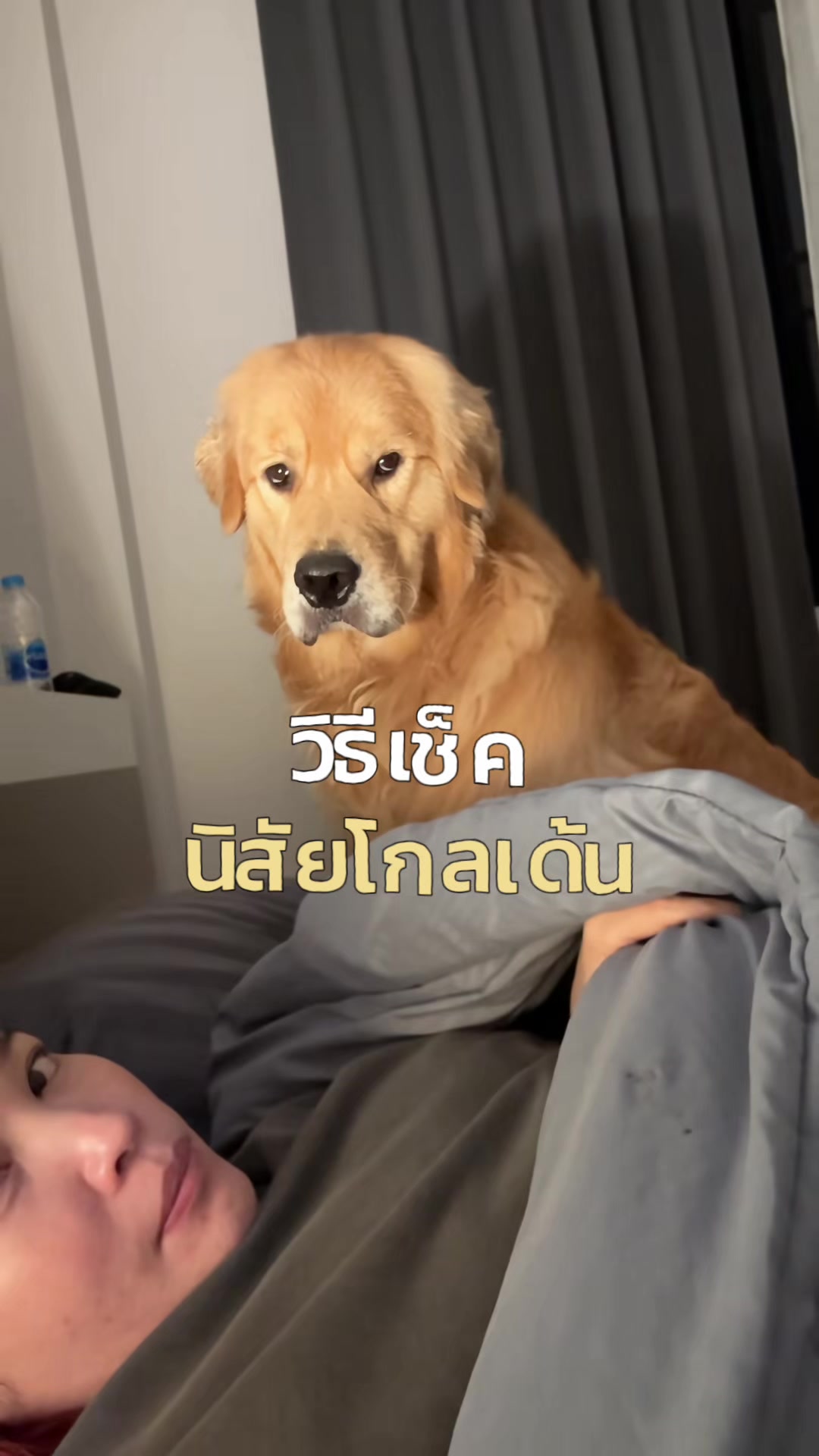 @Joommeng Mee Arai
