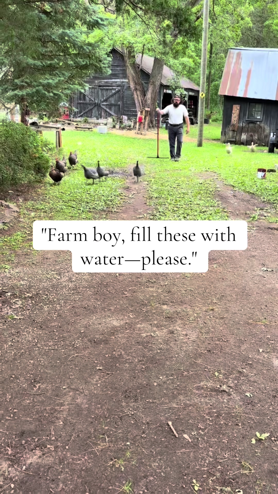 @Scott The Farmer