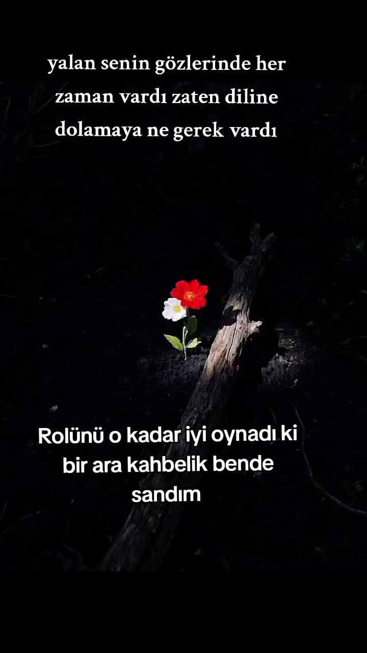 @๐น๐ท. YALINIZ ADAM ๐น๐ท
