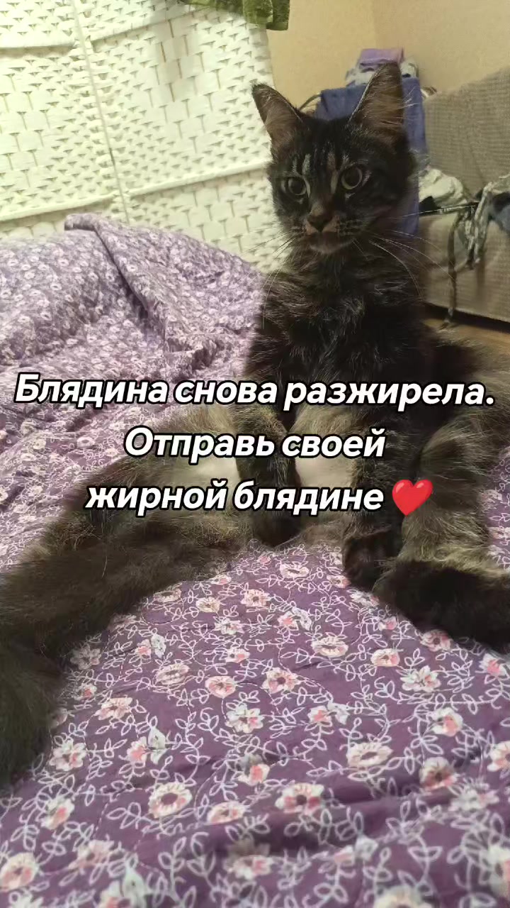@amusleninblyadina