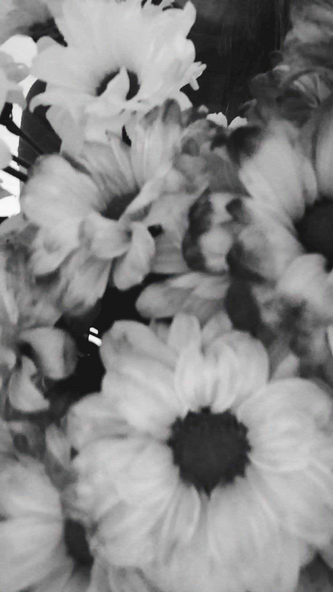 @Ơƙʂąŋƈɧıƙ❤️