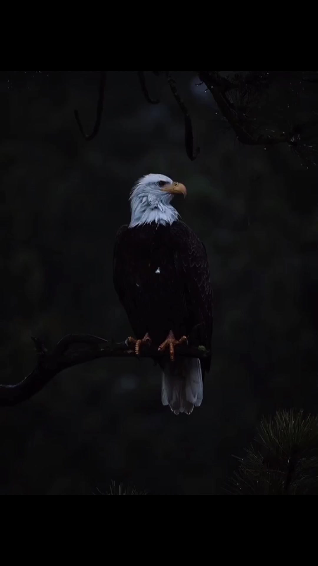 @sekedar kata🕊️
