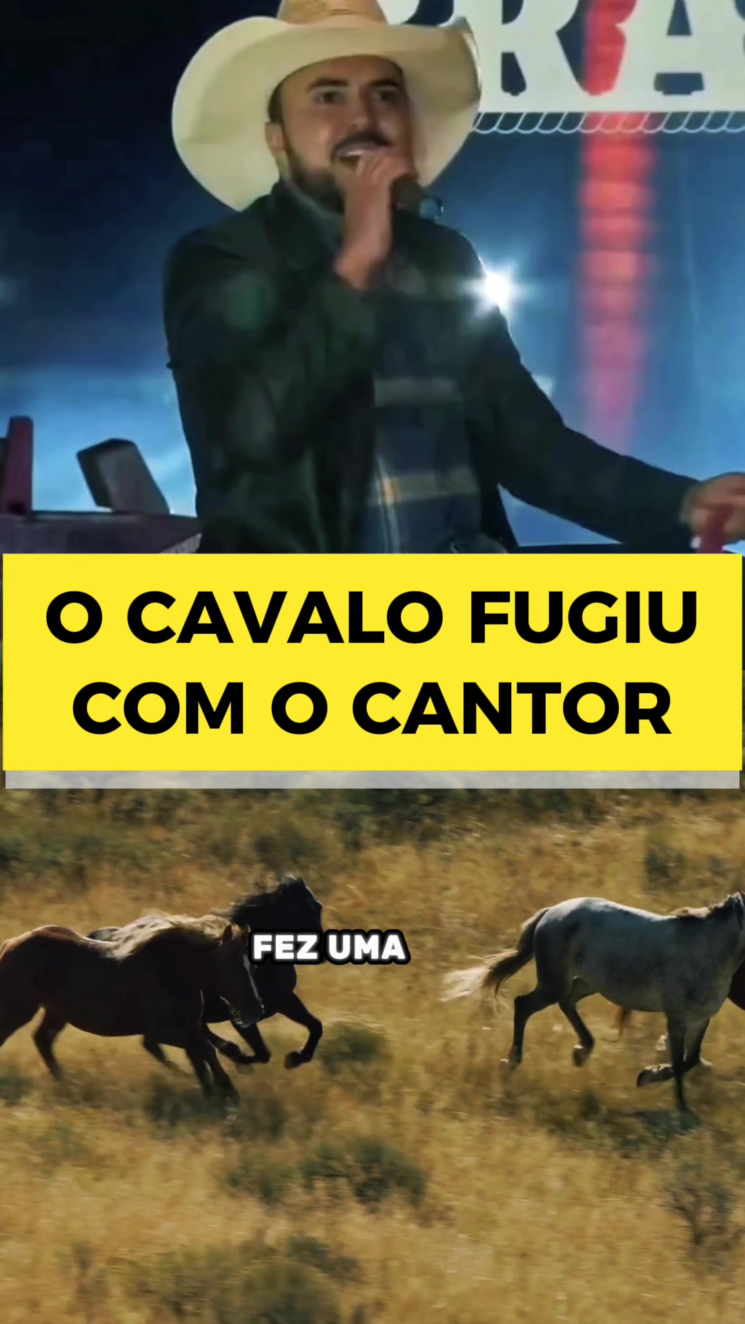 @Fuxico X