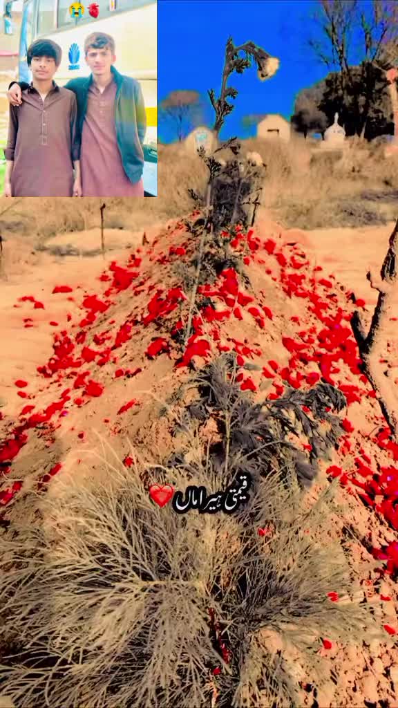 @ماشاءاللہ علی