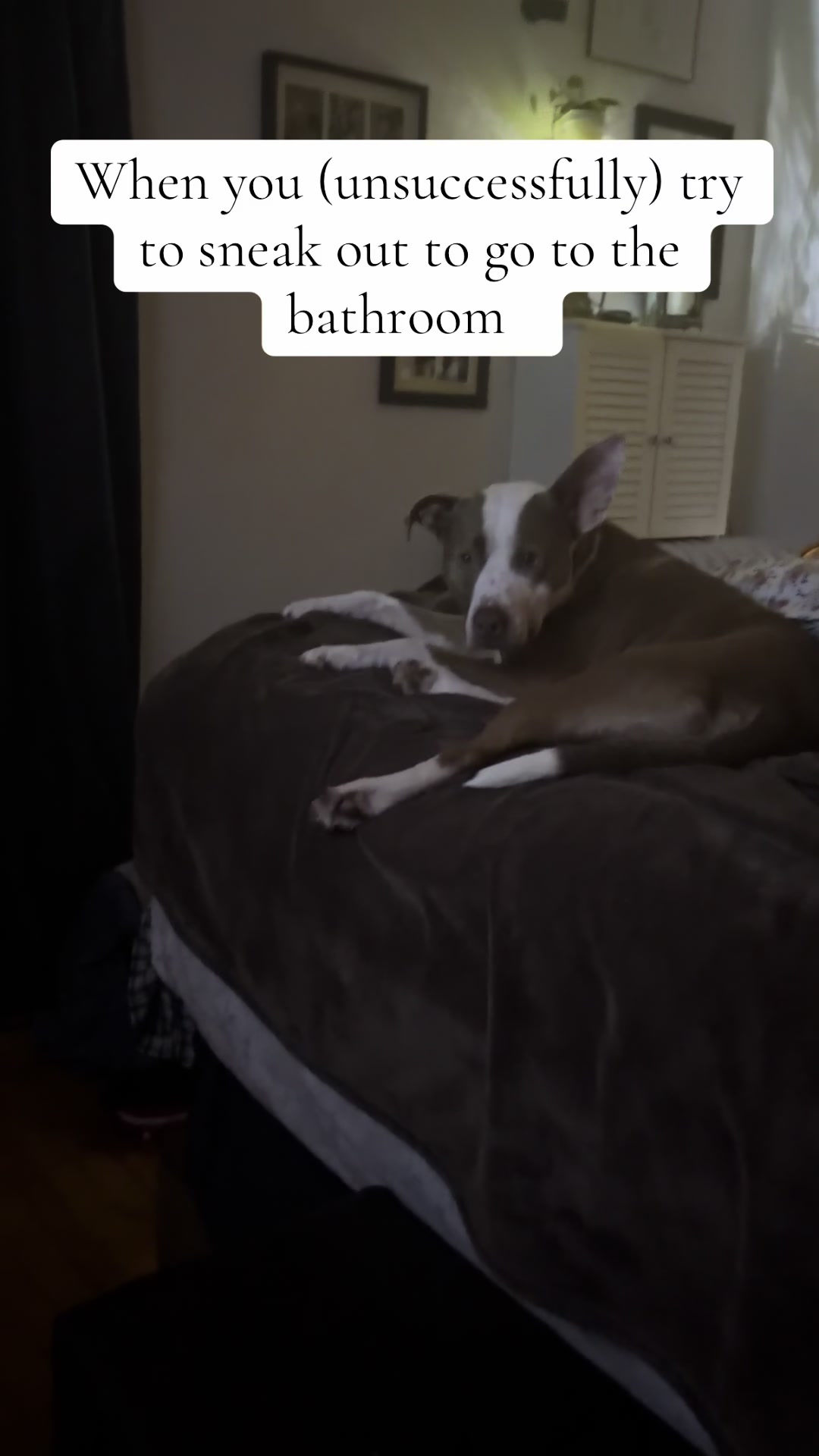 @Ⓐⓢⓗⓛⓔⓘⓖⓗ