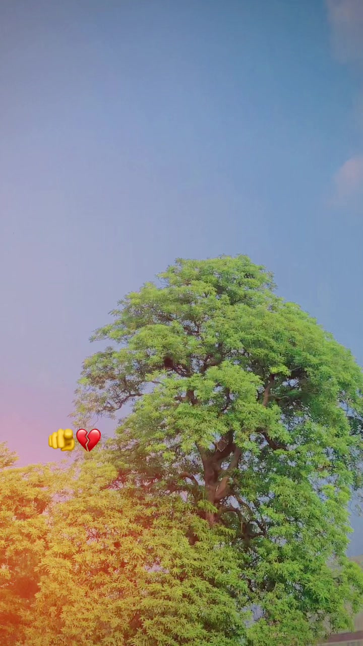 @◔‿◔w ♡A ❥˙