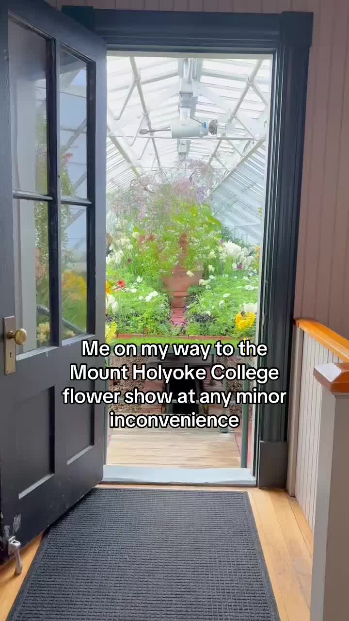 @Mount Holyoke College