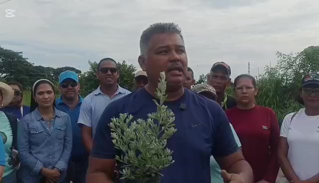 @Eduardo Rojas
