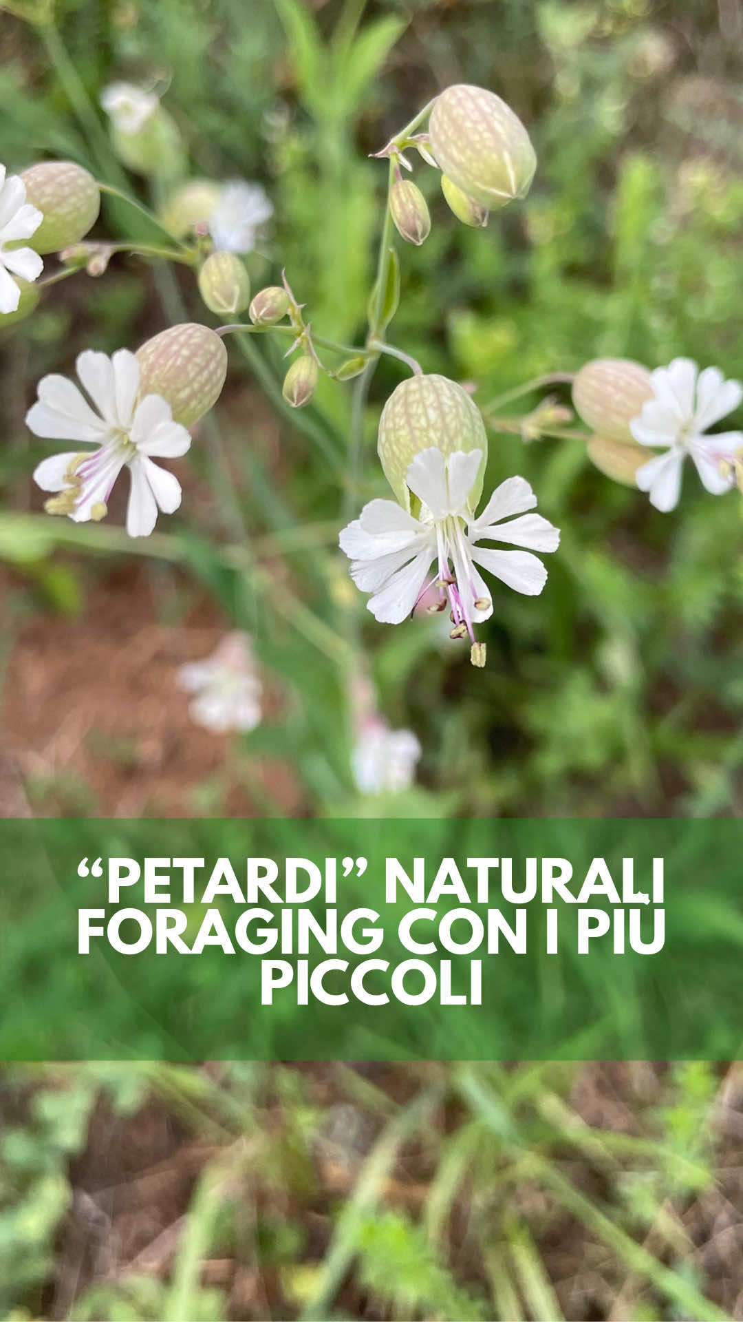 @icookwithnature