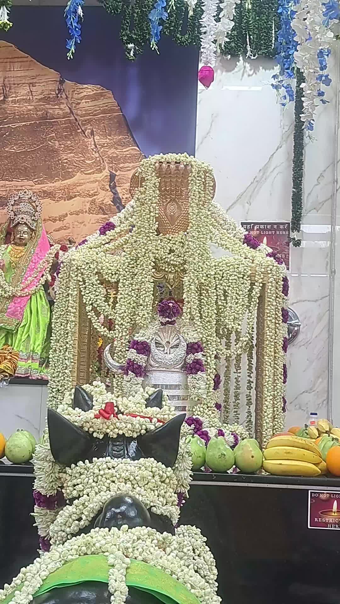 @Vikas Sharma