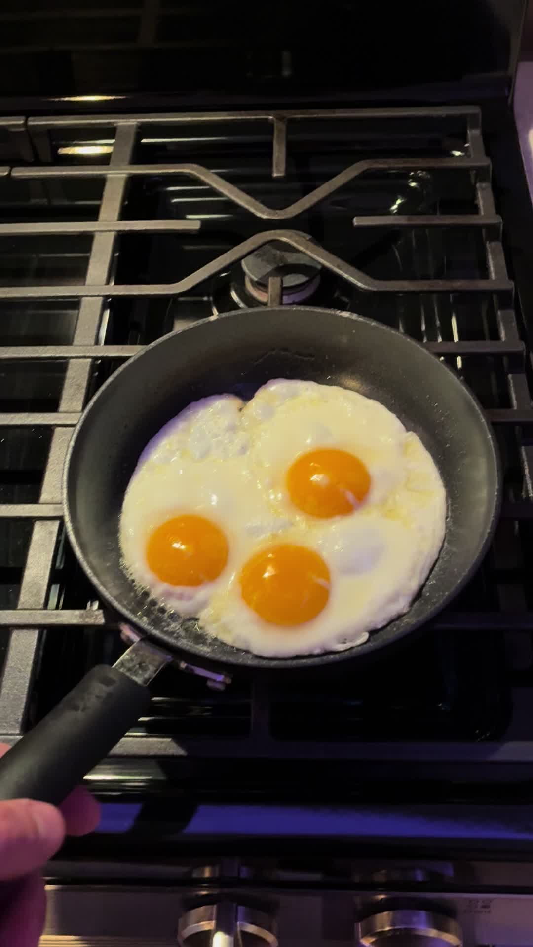 @Egg Sheeran