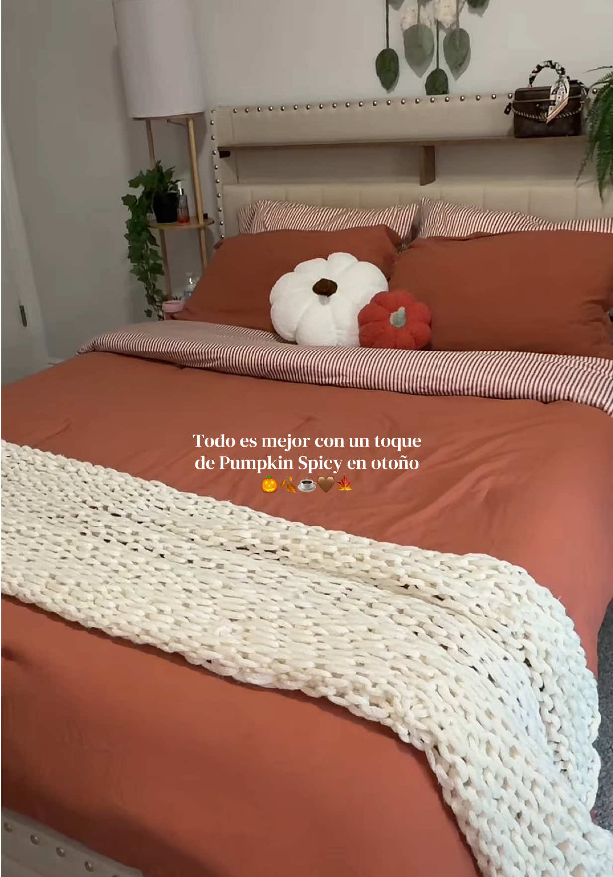 @Siana Far