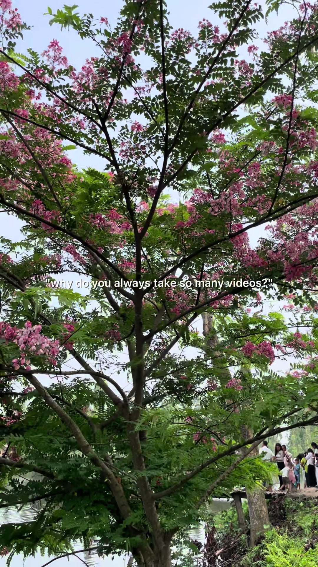 @L