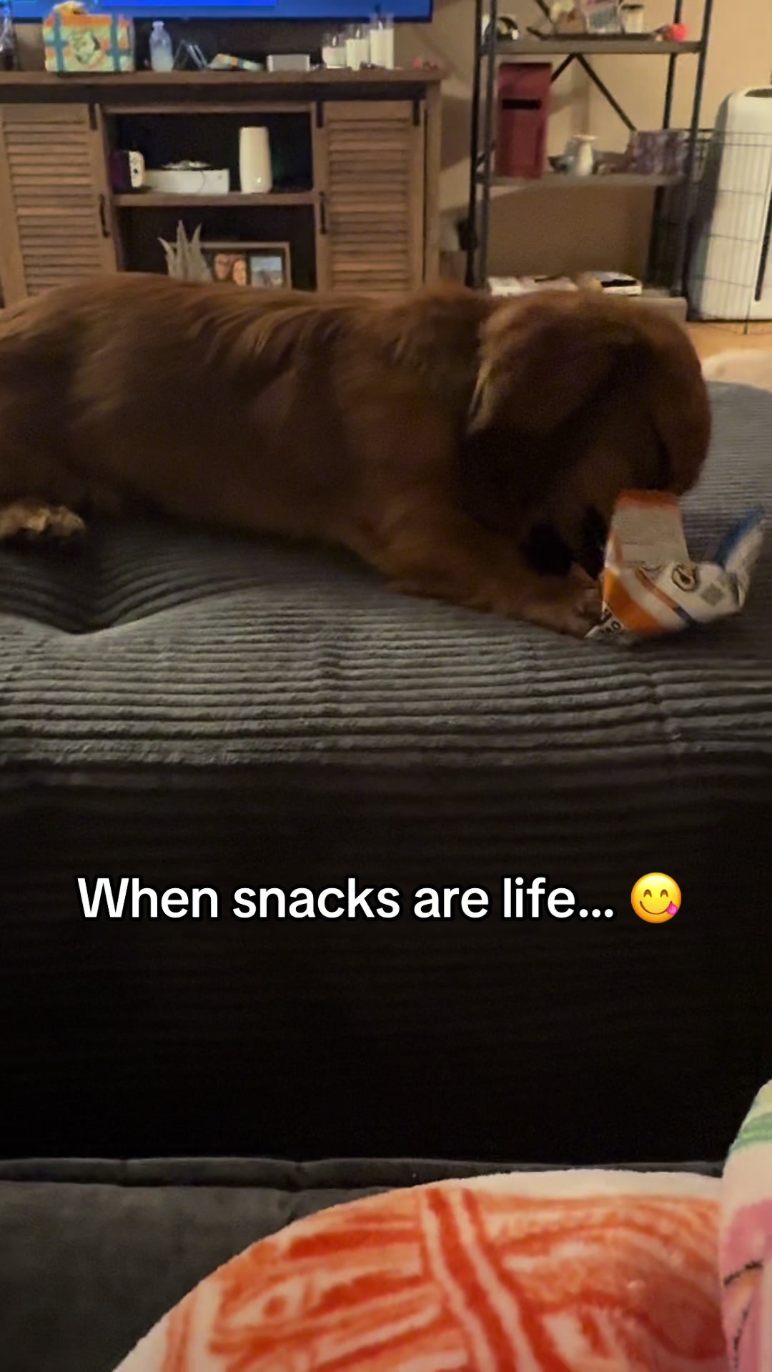 @remi.the.mini.ween