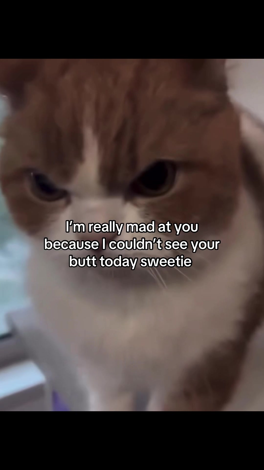 @Molly