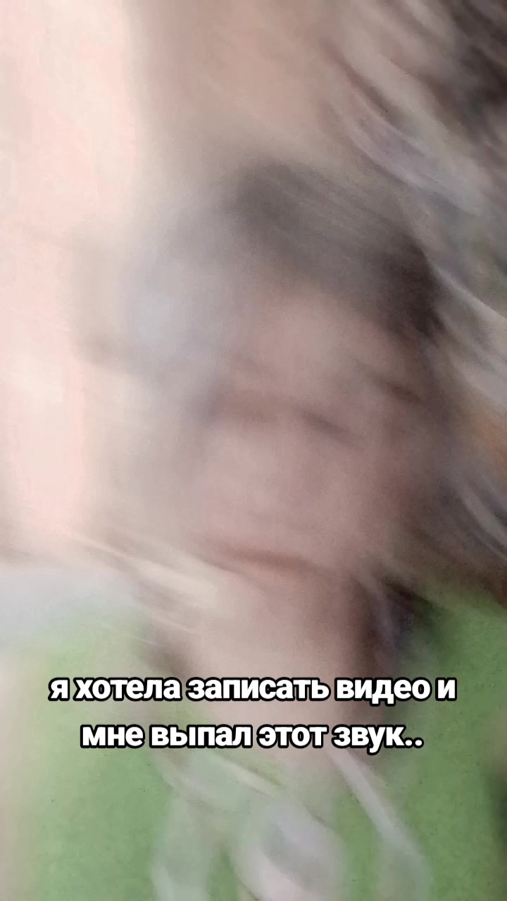 @&deg;.дворец золотого сокола.&deg;