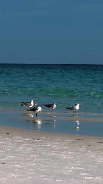 @saltybeach1111