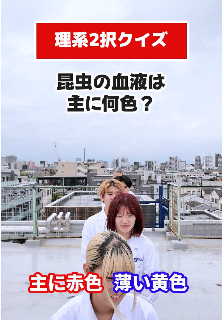 @実験を仕事にする学校