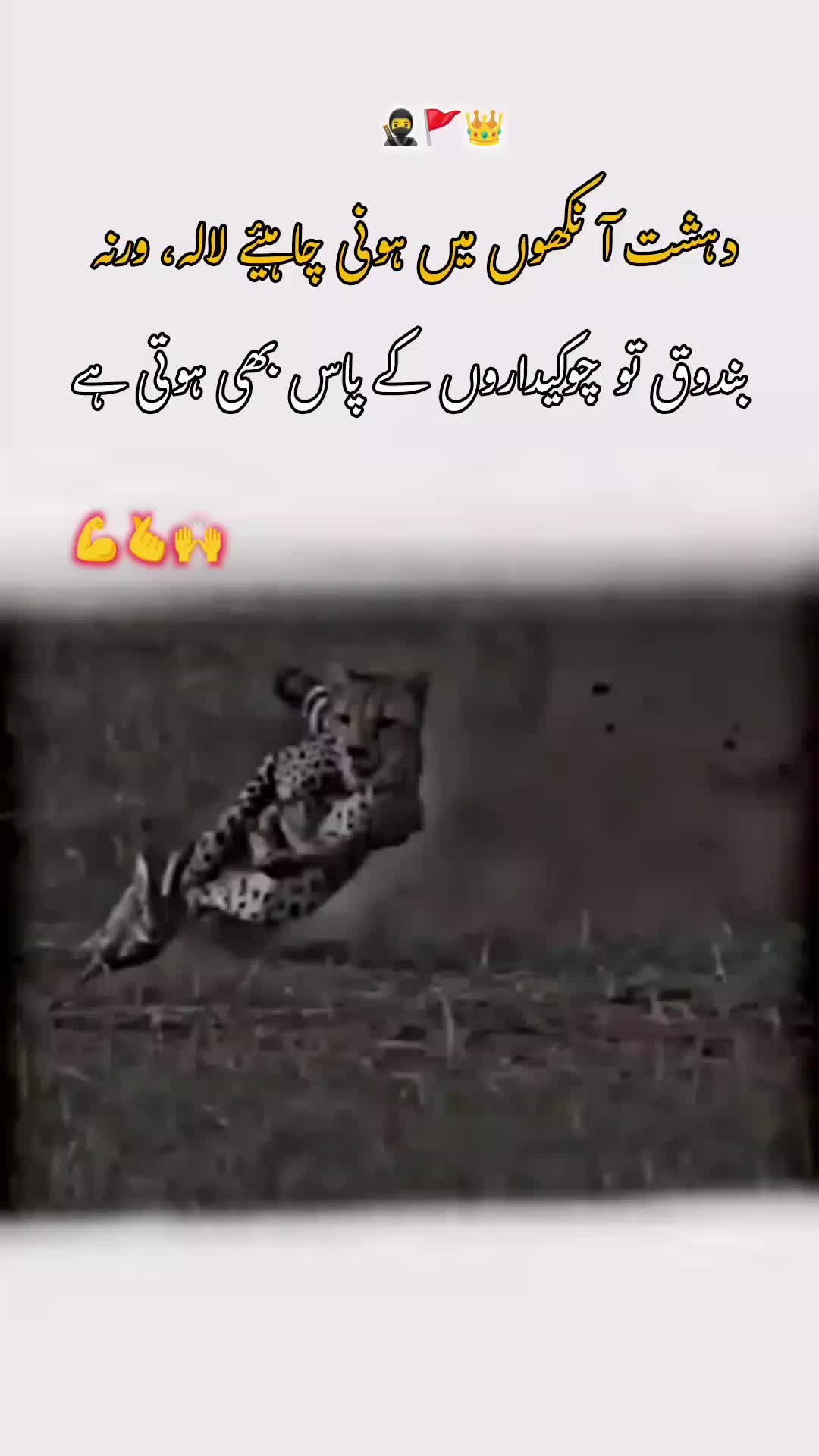 @𝙂𝙝𝙖𝙢 𝙀 𝘼𝙨𝙝𝙞𝙦