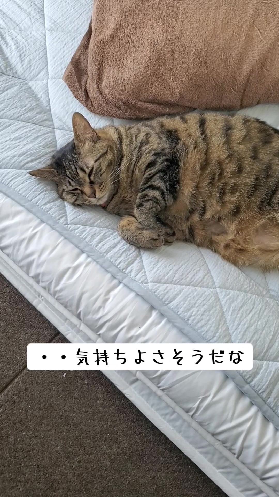 @😻kazuki😻