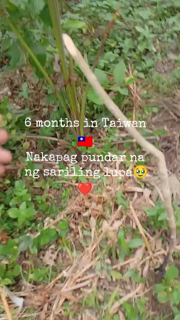 @Mayang🇹🇼