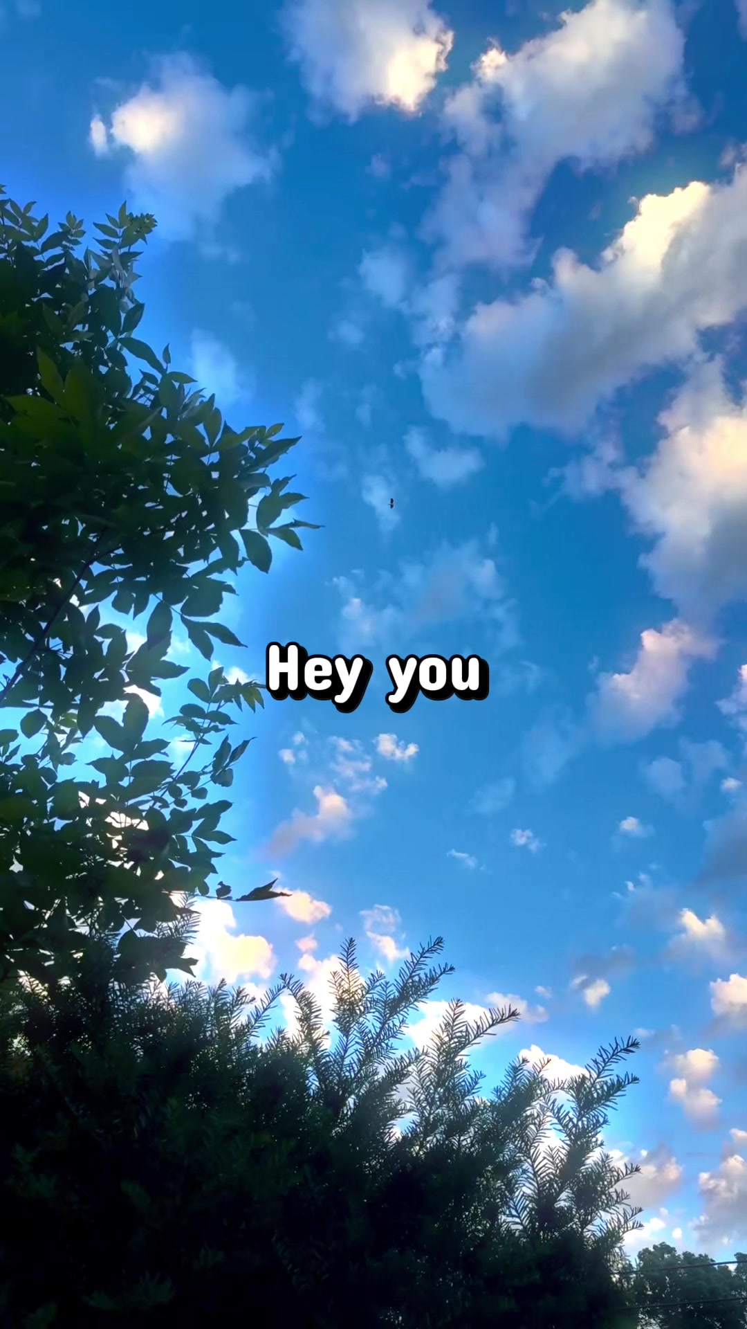 @โฝ ๐๐๐๐ช ๐๐ ๐ฃ๐๐ โฝ