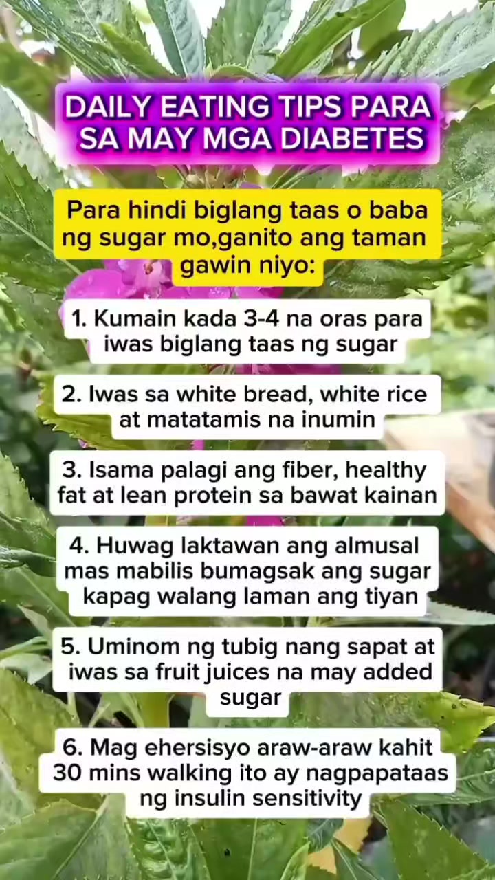 @🐝Tala Hives🐝