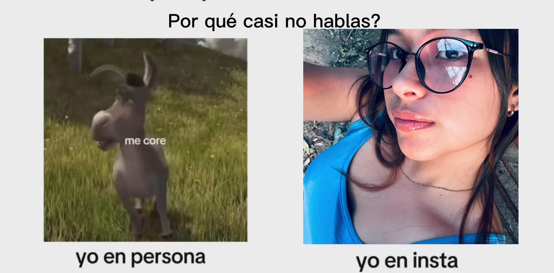 @vaniahern1