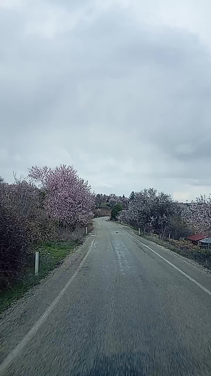 @İsmail sarıkavak