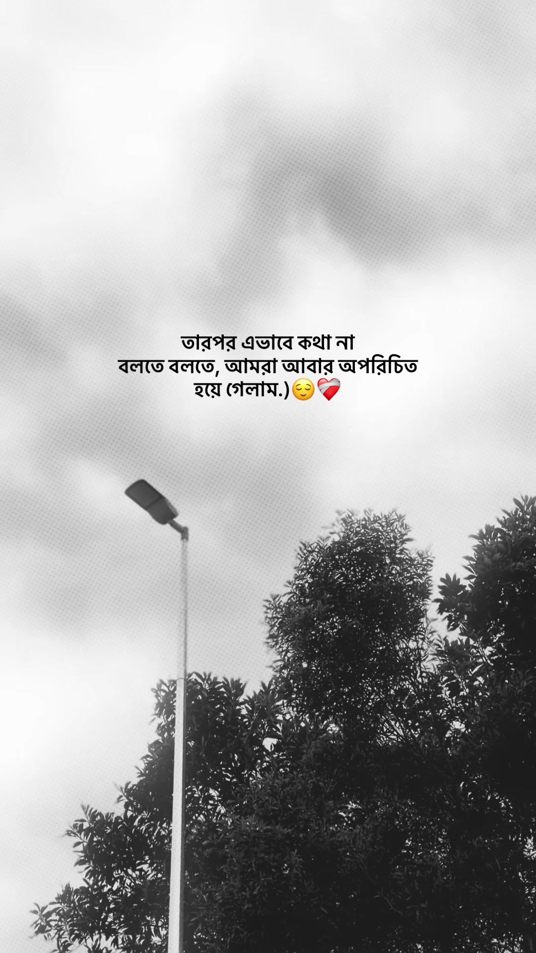 @❏ 𝗔𝗙𝗝𝗔𝗟'🐼