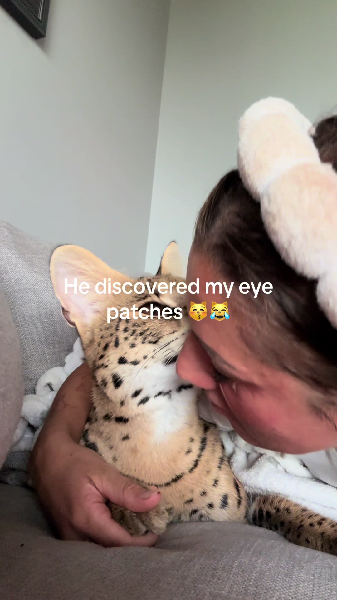 @milo the serval