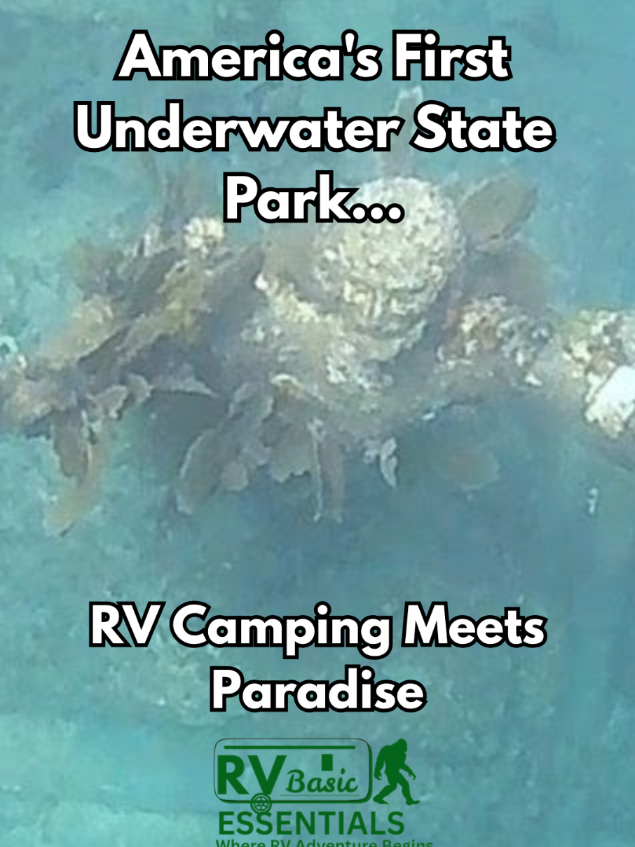 @RV Basic Essentials