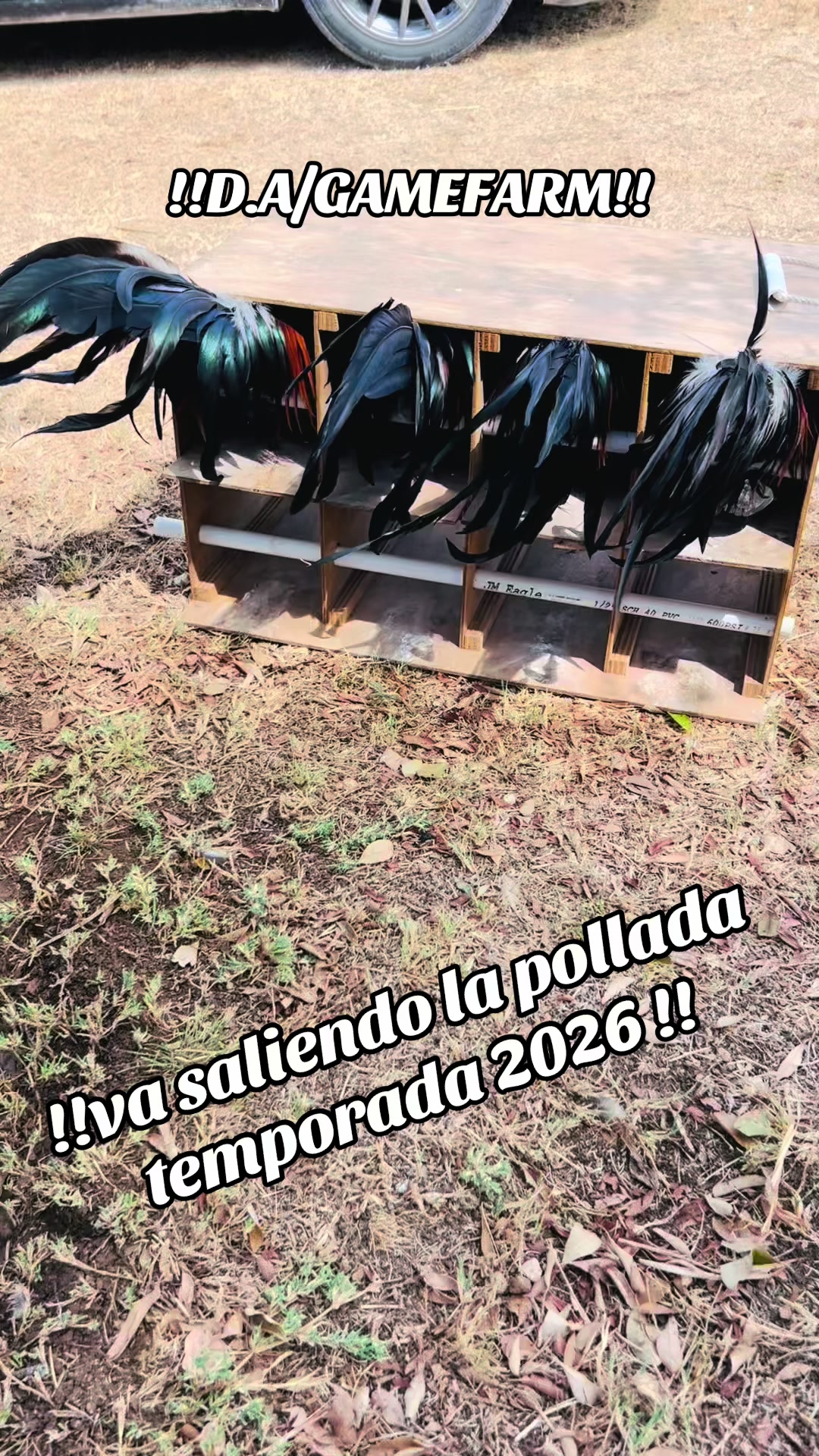 @DAgamefarm