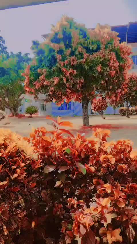 @꧁𓊈𒆜SuraJ𒆜𓊉꧂ܔᵝᏂคΐ ᭄ⓋⒾ❷࿐★$+$