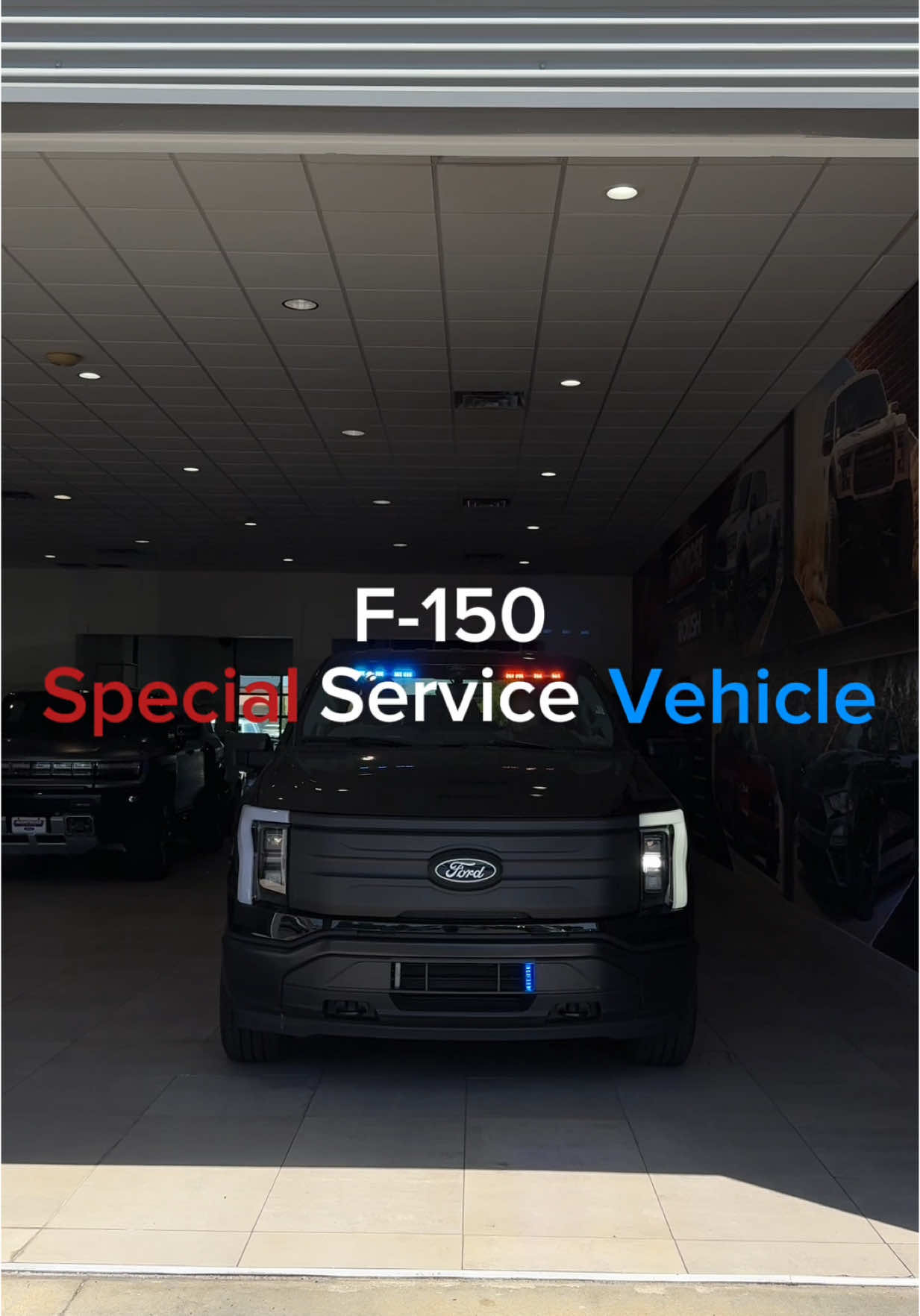 @Montrose Auto Group
