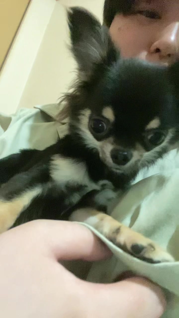 @🐵