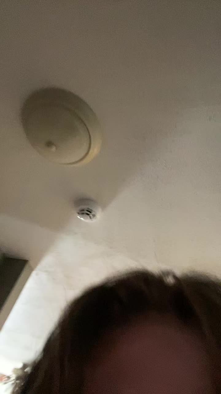 @і᥎ᥲᥒ⋆. 𐙚🐾🍨˚