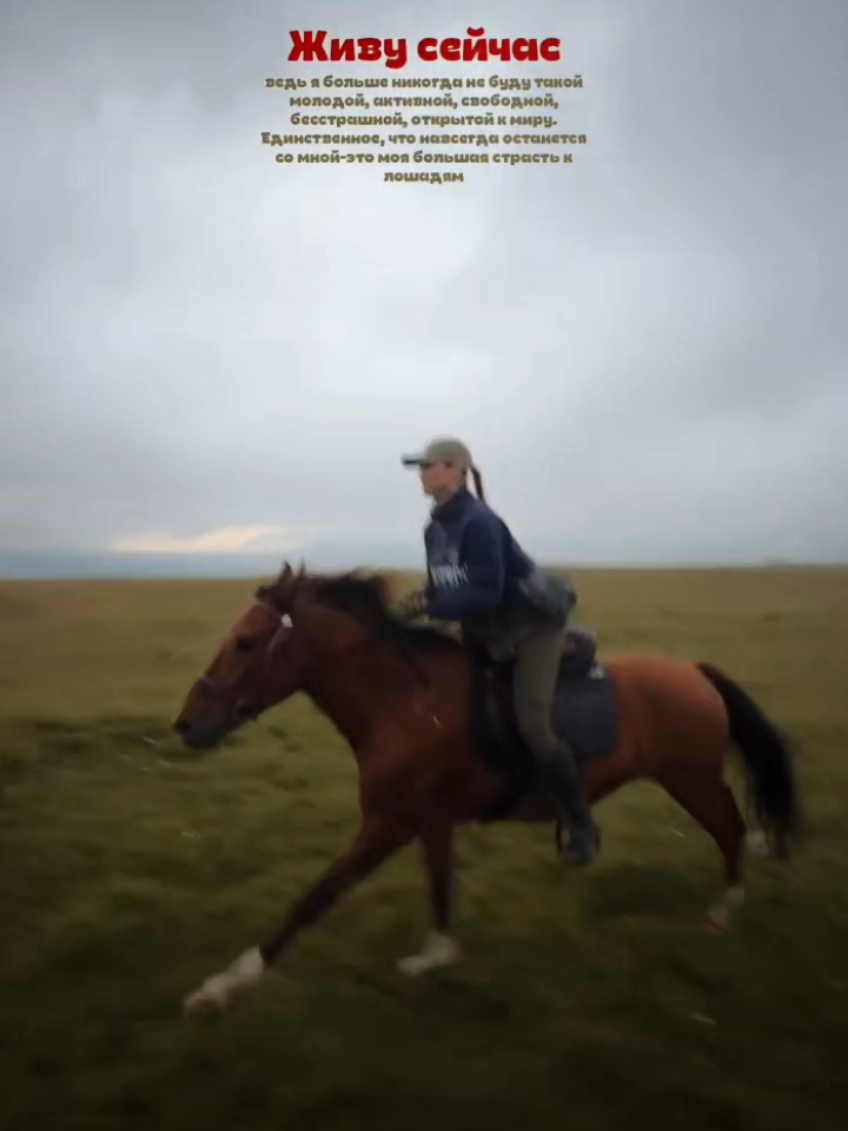 @streamhorse