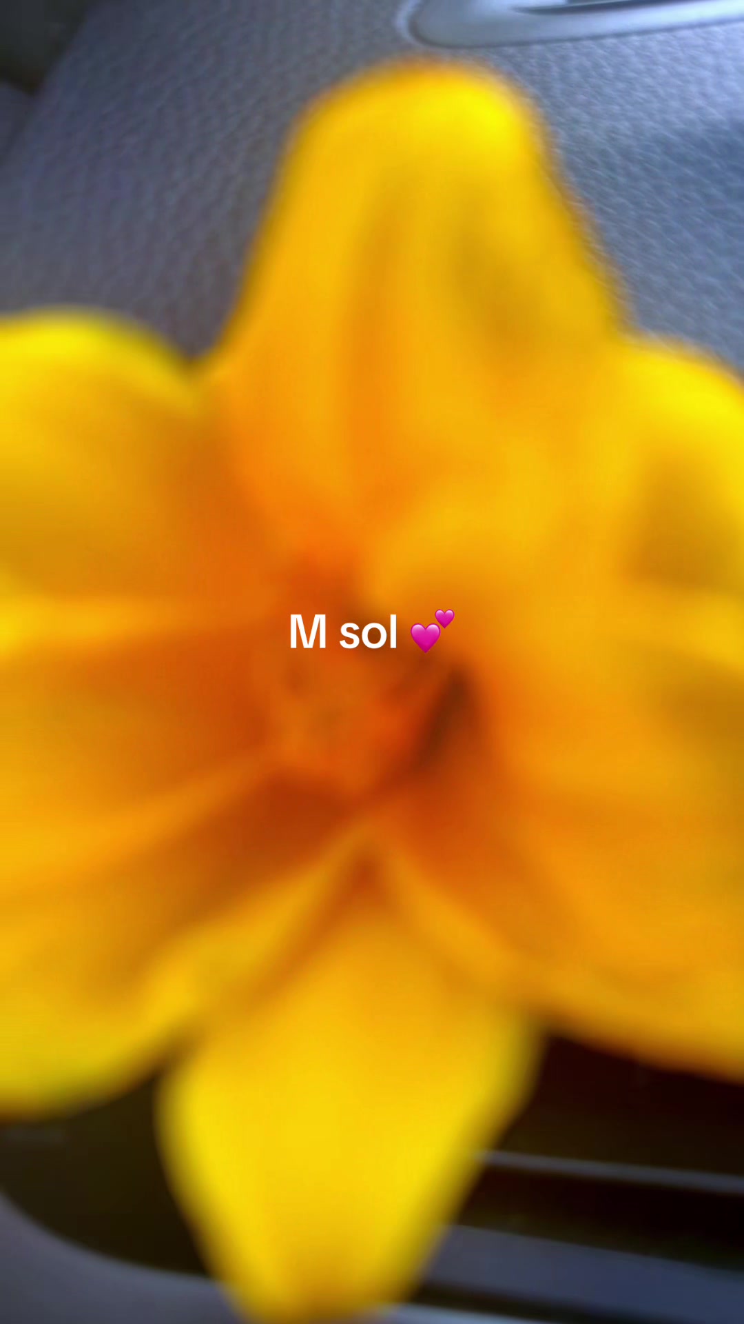 @M sol