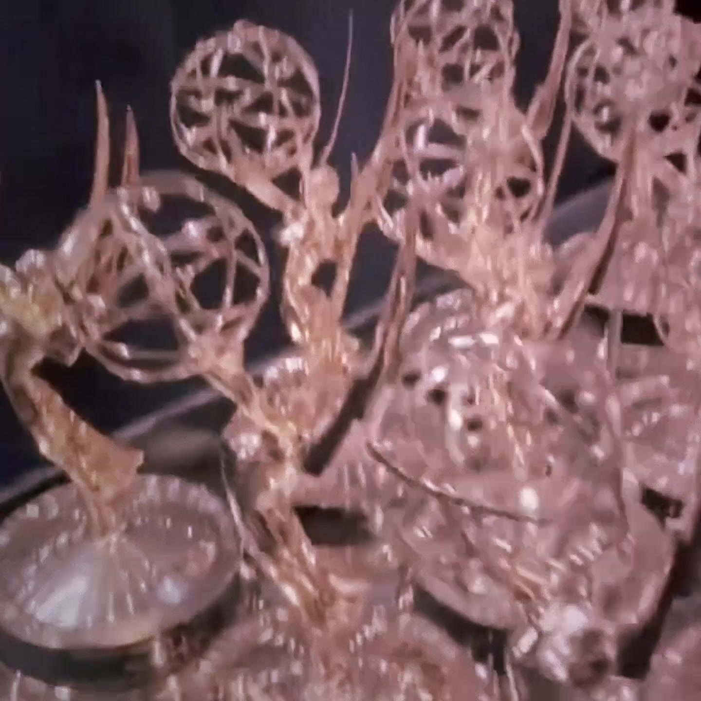 @𝙹𝚘𝚜𝚑𝚕𝚢𝚗