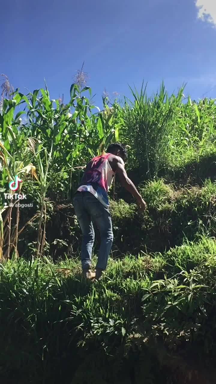 @bijaya bijaya
