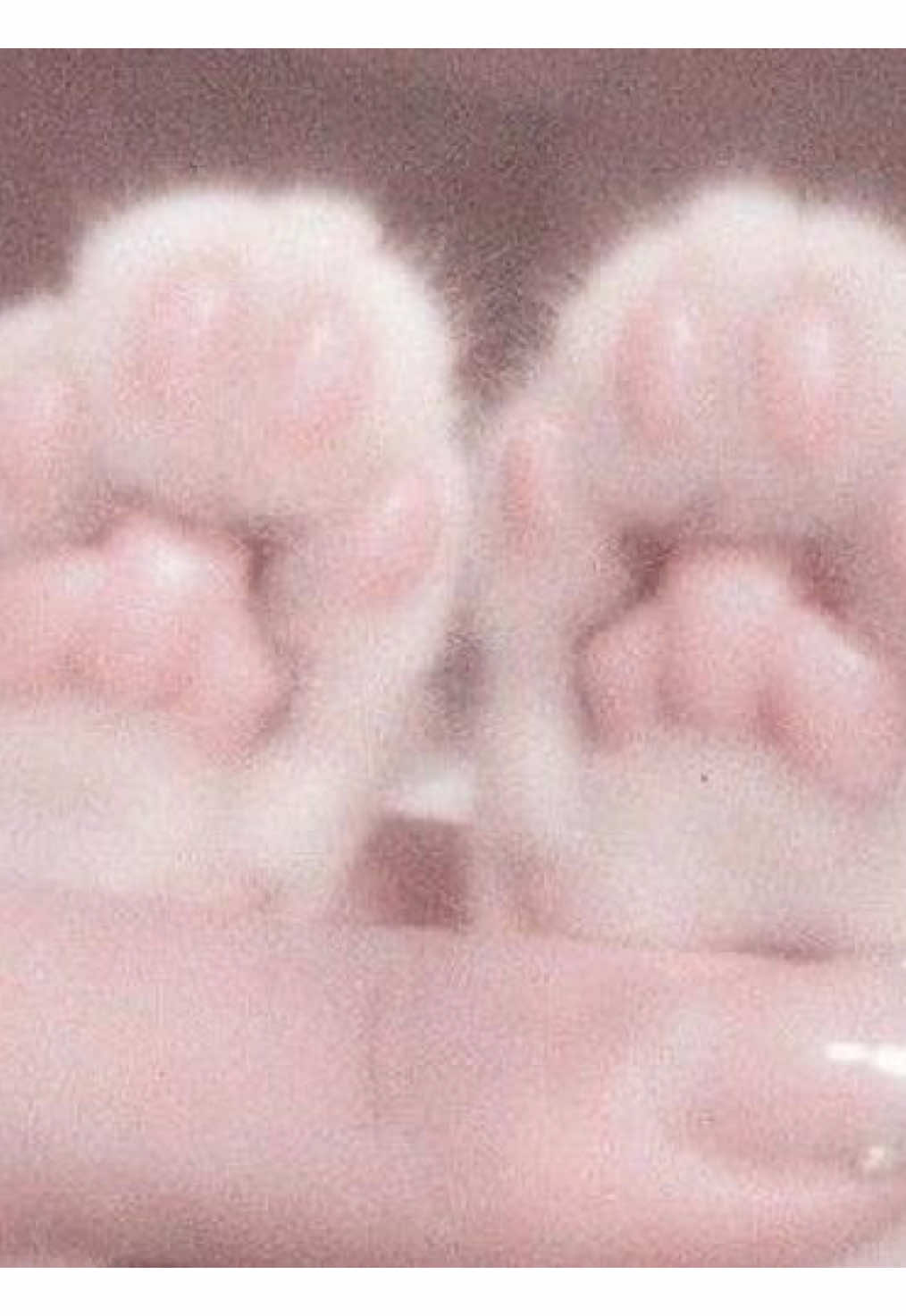 @𝜗ৎ 🍓Nιᥴ᥆ᥣᥣᥲ᥉ Vᥲᥣᥣᥱᥒtιᥒ