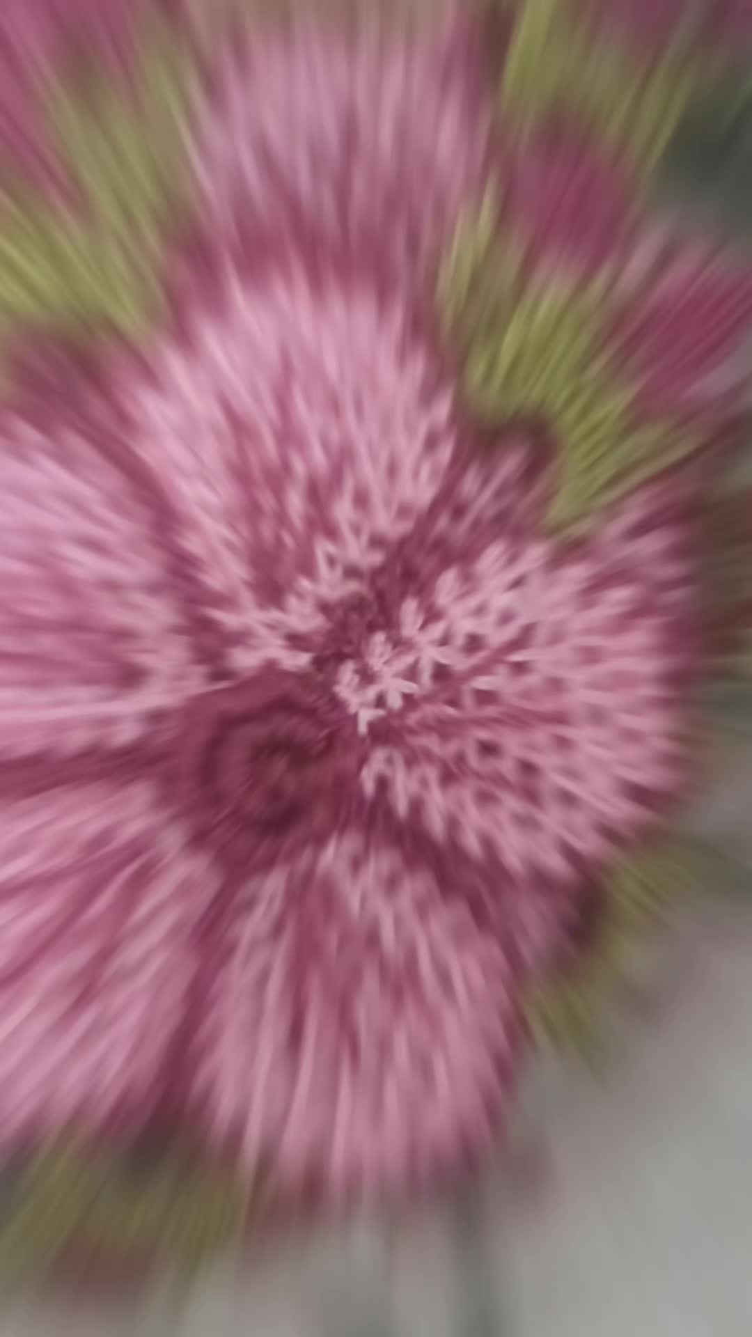 @İğne Oyası Zühre