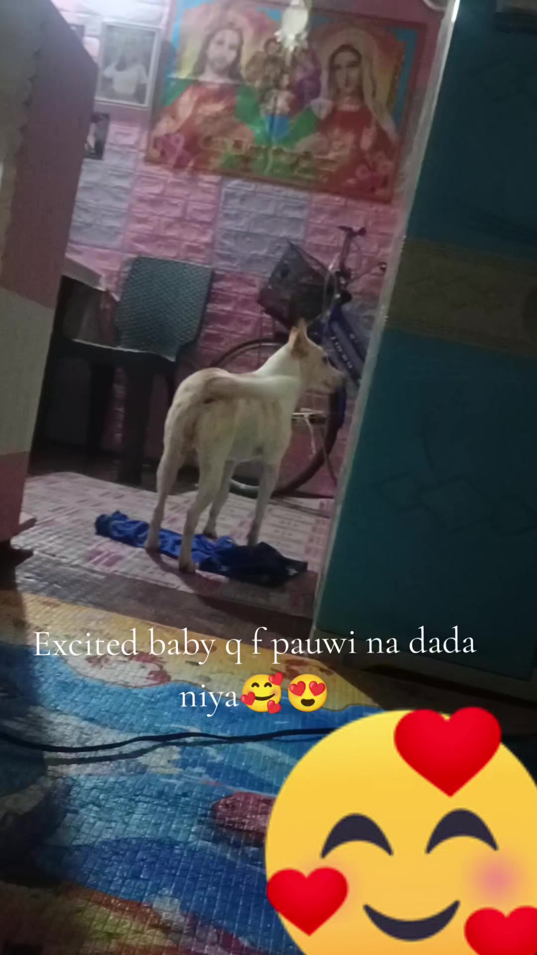 @❤️Ms.Sky Elie❤️