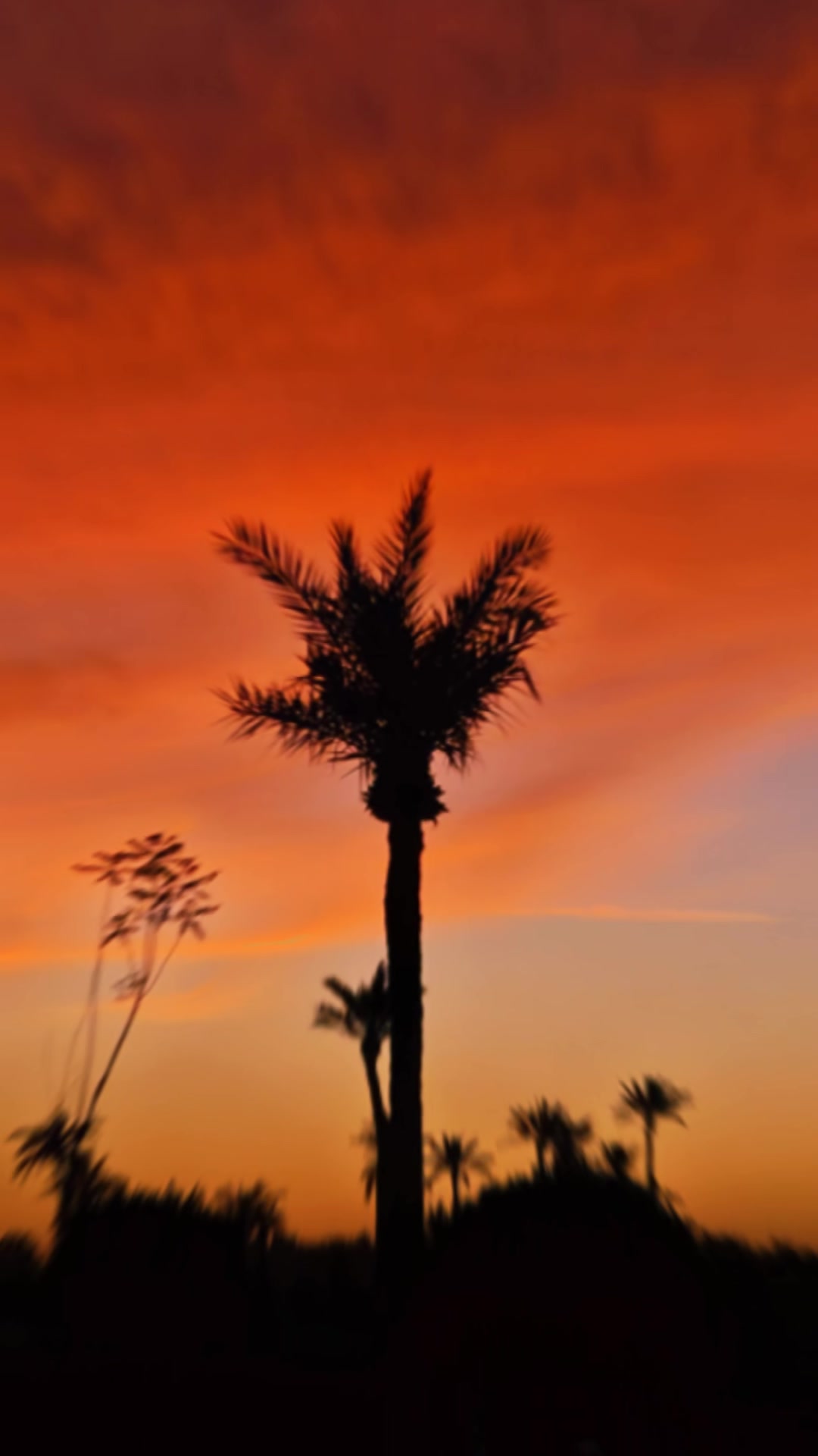 @Marrakechtravel1